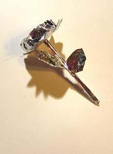 ���������� ���� �� ������